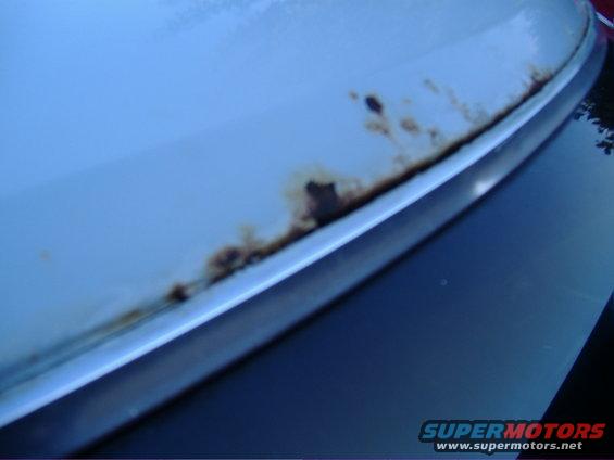 ranchero-002.jpg roof rust