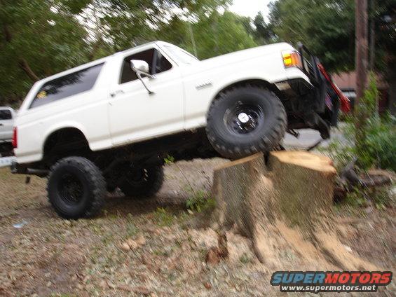 White Ford Bronco with lifted suspension driving over a tree stump