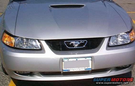 Silver Ford Mustang front grille with a horse emblem and a license plate