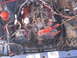 1986 Ford Bronco - Close-up view of a vehicle's engine bay, showing the distributor, spark plug wires, and various hoses.