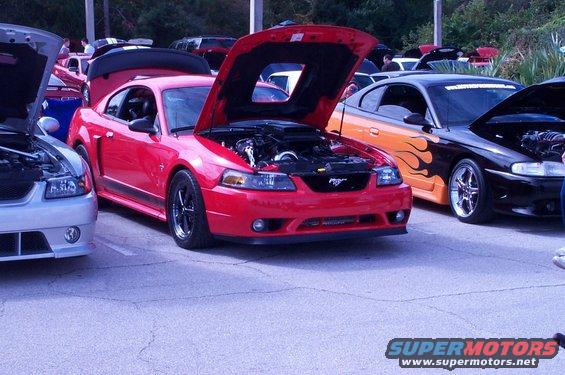 Red 2006 Ford Mustang with hood open, parked next to other Mustangs