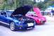 2006 Ford Mustang - Two classic cars, a blue 2006 Ford Mustang GT500 and a red car, are displayed with their hoods open.