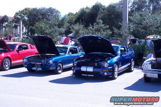 Blue 2005 Ford Mustang GT with white racing stripes, hood open, parked next to other Mustangs