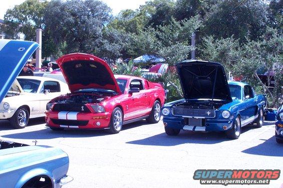 Blue 1965 Ford Mustang front view with hood open
