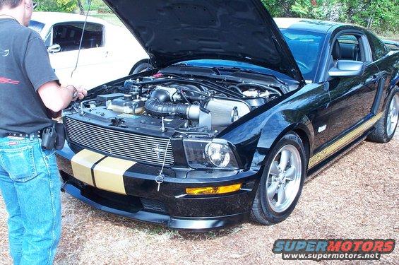 Black 2006 Ford Mustang GT with hood open, showing engine. Gold stripes on hood and side. White car behind it