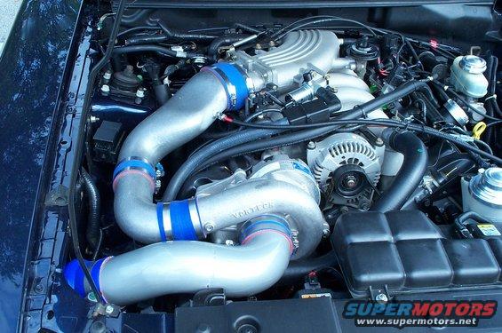 Engine bay with Vortech supercharger and blue hose clamps