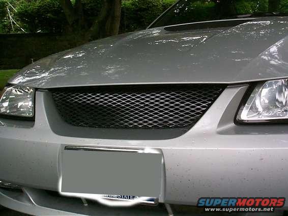 Silver car grille with diamond pattern, front view. License plate area is grayed out