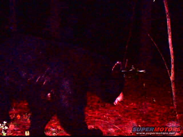 Dark scene with blurry object and red ground