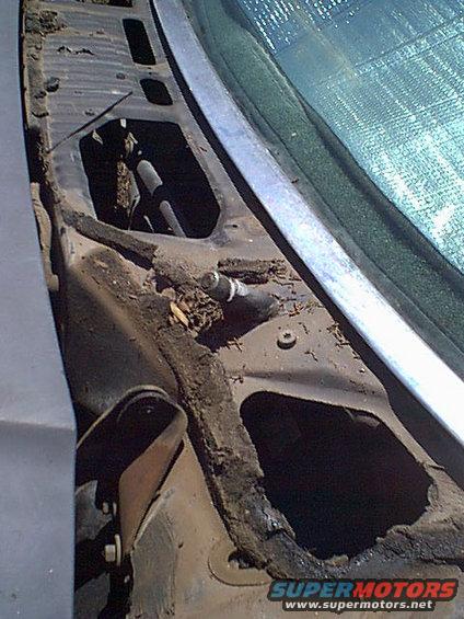 cowl.jpg Here is another pic of under the stock cowl.