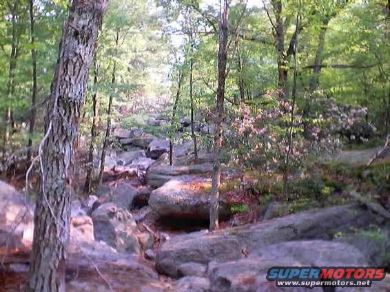 paragon_0119.jpg This is the trail rightly named "Impossible Hill".  Anyone wanna try?