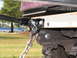 1988 Ford C-350 (Centurion Conversions) - Detail of a tow hitch and safety chain attached to the rear of a vehicle.