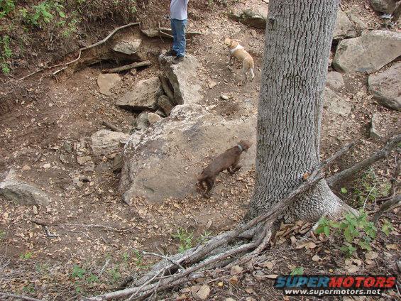 commanche-ridge-101406-070.jpg One of the trails at Commanche Ridge called Barbwire