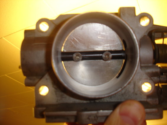 Throttle body with two screws visible on the butterfly valve shaft