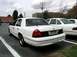 1998 Ford Crown Victoria - Rear view of a white 1998 Ford Crown Victoria parked in a lot next to another similar vehicle.