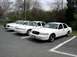 1998 Ford Crown Victoria - Four white Ford Crown Victoria police cars are parked in a lot, showing their front 3/4 views.