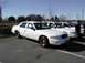 1998 Ford Crown Victoria - A line of white sedans are parked in an outdoor lot on a sunny day.