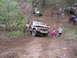 view from the top after I hit the trees