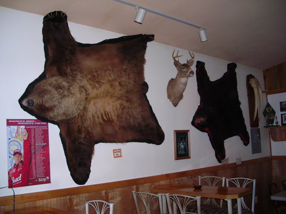 Taxidermied bear and black animal pelts hang on a wall with a deer head above a table