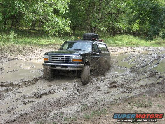 img_2310.jpg 