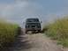 1981 Ford Bronco - Black Ford Bronco drives up a dirt road with yellow wildflowers flanking the path.