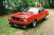 1975 Ford Mustang II - A red 1975 Ford Mustang II coupe is parked outdoors on a grassy area.
