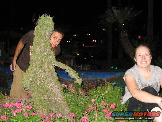 arizona092.jpg Violating the foliage