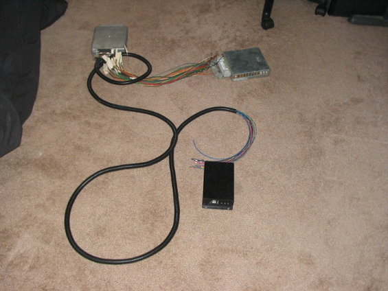 diy-harness-001.jpg 