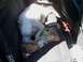 1994 Ford F-150 - A dog rests with a large bone in the back seat of a vehicle, with a can of dog treats nearby.