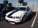 2002 Ford Mustang - A white Ford Mustang Boss 302 with black racing stripes is parked next to a black car.