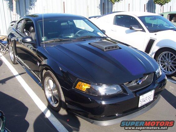 Black 2002 Ford Mustang with blue stripe and hood scoop