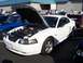 2002 Ford Mustang - A white coupe with its hood open, parked at an outdoor event with other vehicles.