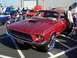 2002 Ford Mustang - A classic red Mustang is displayed at an outdoor event with other vehicles and people around.