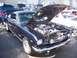 2002 Ford Mustang - A classic dark blue Ford Mustang is displayed with its hood open, revealing a custom engine and polished components.