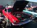 2002 Ford Mustang - A red classic Mustang is displayed with its hood up, revealing the engine bay.