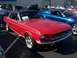 2002 Ford Mustang - A red 1967 Ford Mustang coupe is parked next to a blue modern Ford Mustang at an outdoor car show.