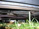1999 Ford Crown Victoria photo