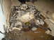 1992 Ford Crown Victoria - old engine.... burned a quart of oil per week
