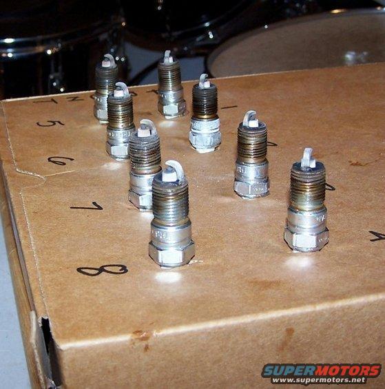 Eight spark plugs arranged on a cardboard box with numbers 1-8 written on it