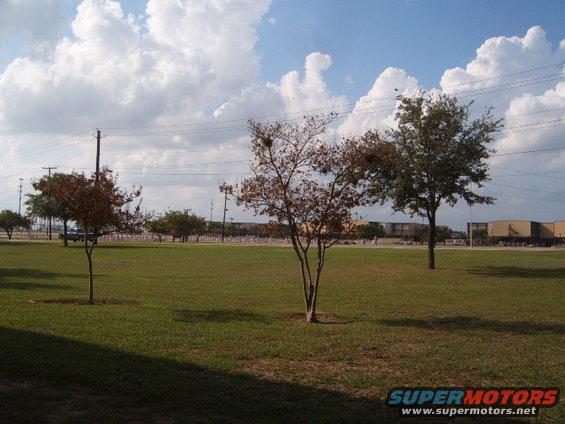 picture-002.jpg 