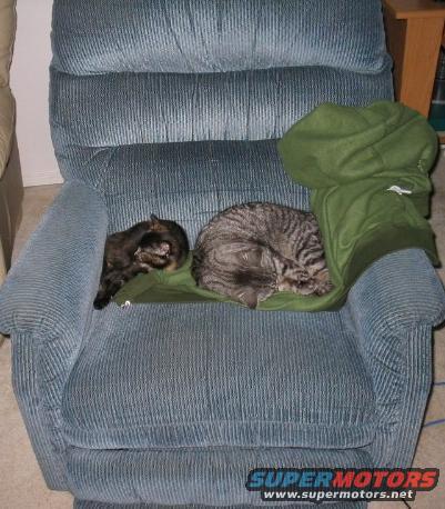 Two cats sleeping on a blue recliner chair with a green blanket