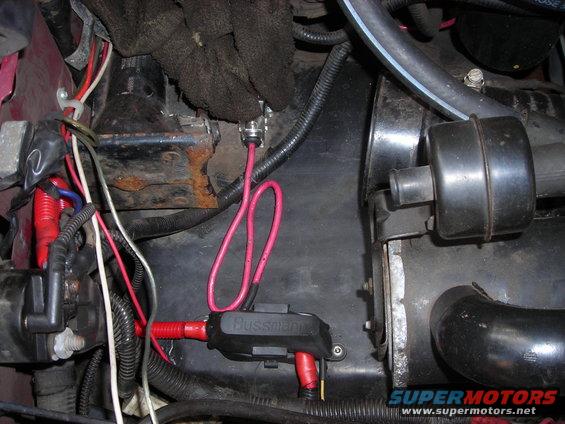 Close-up of engine bay wiring with a Bussmann fuse holder and red wires