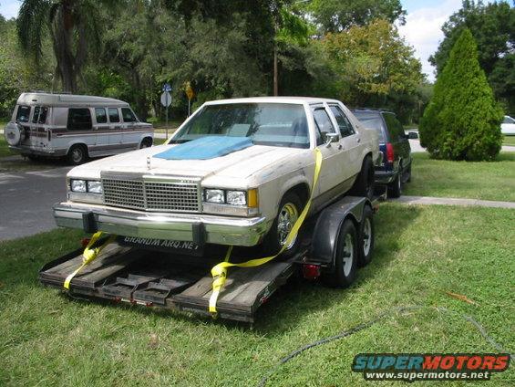 White Ford sedan on a trailer, blue hood cover, chrome grille, yellow tie-down straps. Another vehicle and a van are visible