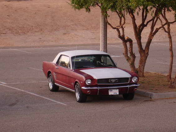 dsc07535.jpg 