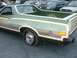 1973 Ford Ranchero - A green pickup truck with wood paneling is parked in a lot, with other vehicles visible in the background.