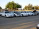 1995 Ford Taurus - A lineup of white Ford Taurus sedans, including a 1995 model, are parked in a lot.