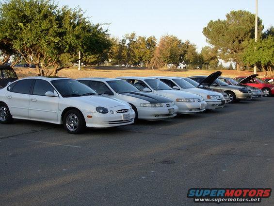 Line of white 1995 Ford Taurus sedans parked side-by-side