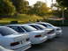 1995 Ford Taurus - Several white sedans are parked in a lot on a sunny day, with trees and a grassy hill in the background.