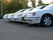 1995 Ford Taurus - Several white Ford Taurus sedans are lined up in a parking lot, with trees in the background.