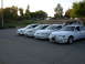 1995 Ford Taurus - Four white Ford Taurus sedans are parked in a lot, with a fifth vehicle partially visible.
