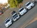 1995 Ford Taurus - A line of white Ford Taurus sedans, with one modified with a black hood, are parked on a paved surface under a tree.